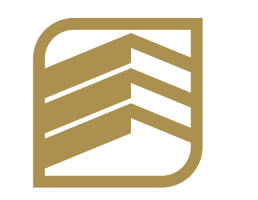 DSM Alliance logo